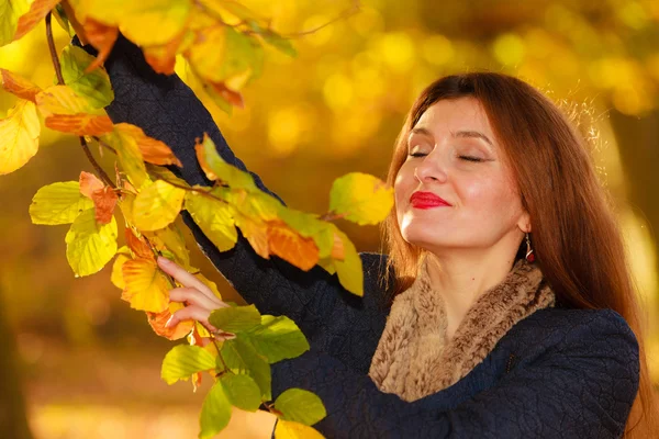 Fille attrayante parmi les arbres et les feuilles — Photo