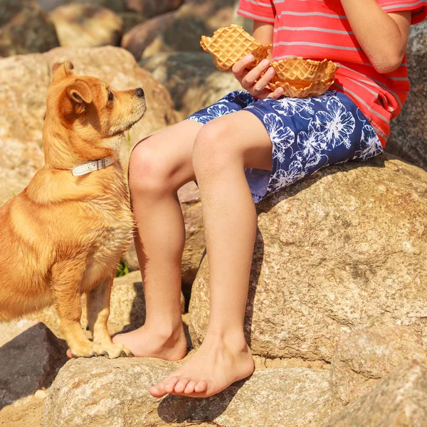 Jongen spelen met zijn hond. — Stockfoto