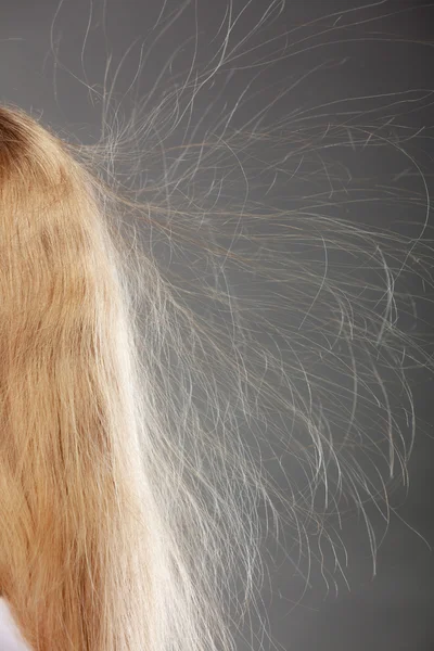 Nahaufnahme einer Frau mit statisch blonden Haaren. — Stockfoto