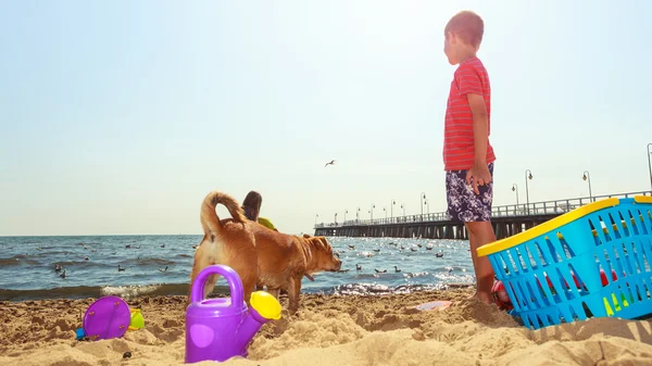 Chico divirtiéndose en la playa . —  Fotos de Stock