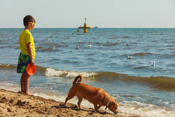 Garçon jouer avec son chien. — Photo