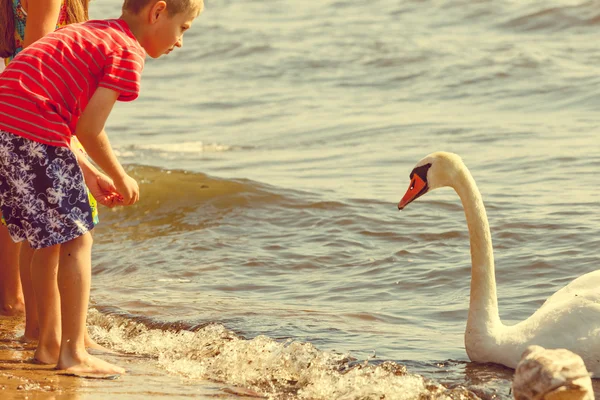 Παιδιά που παίζουν με swan λευκό πουλί. — Φωτογραφία Αρχείου