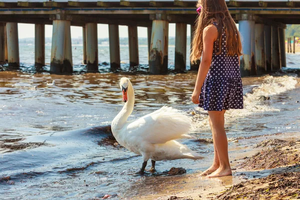 大人の白鳥と遊ぶ女の子. — ストック写真