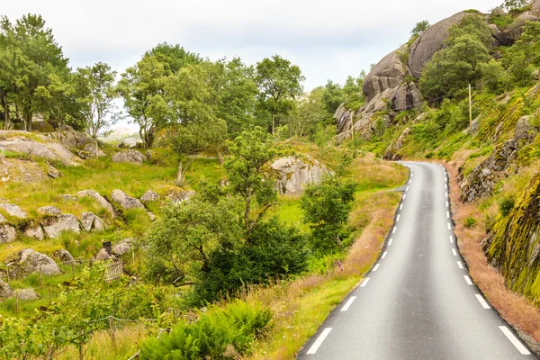 Straßenlandschaft in den norwegischen Bergen — Stockfoto