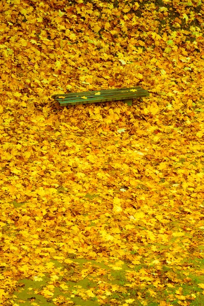 Autumn fall scenery. Bench and leaves in city park. — Stock Photo, Image