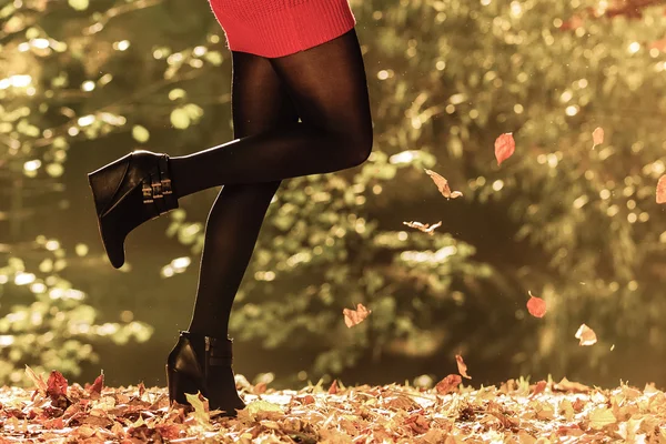 Jesienna moda. Kobiece nogi w czarnych rajstopach odkryty — Zdjęcie stockowe
