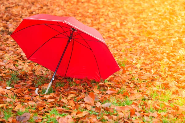 Rött paraply i höstparken på lövmattan. — Stockfoto
