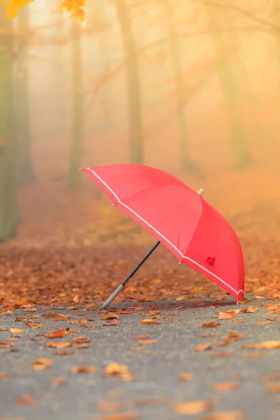 Rött paraply i höstparken på lövmattan. — Stockfoto