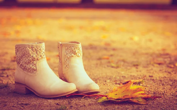 Обувь, стоящая на листьях — стоковое фото