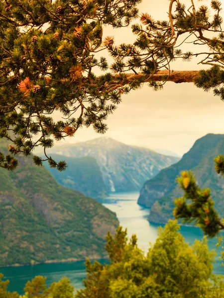 Pohled na fjordy na Stegastein pohledu v Norsku — Stock fotografie