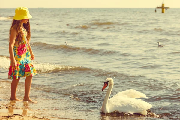 Chica jugando con cisne adulto . — Foto de Stock