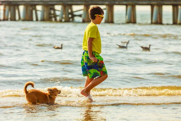 Garçon jouer avec son chien. — Photo