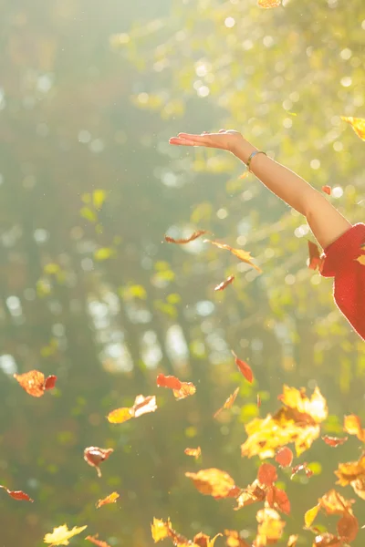 Joyful girl having fun with leaves in autumnal park. — Stock Photo, Image