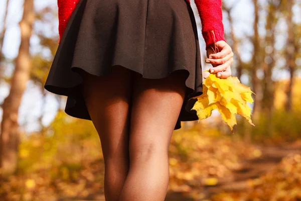 Sexy legs in the park. — Stock Photo, Image