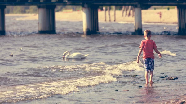 Garçon marche sur la plage . — Photo