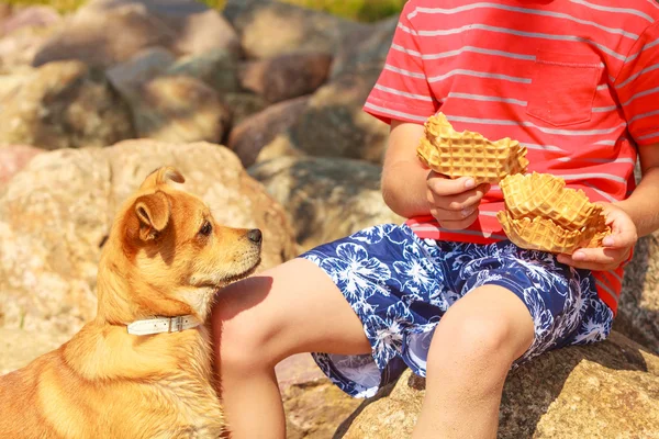 Pojke leker med sin hund. — Stockfoto