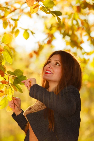 Fille attrayante parmi les arbres et les feuilles — Photo