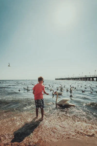 Niño con hermoso cisne . — Foto de Stock