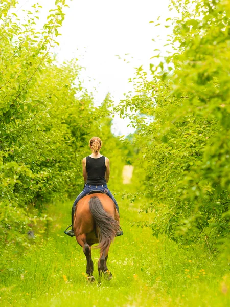 Mujer jinete entrenando a caballo. Actividad deportiva —  Fotos de Stock