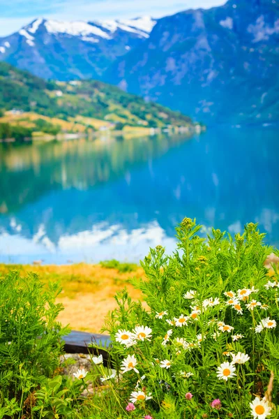 Montanhas e fiordes na Noruega , — Fotografia de Stock