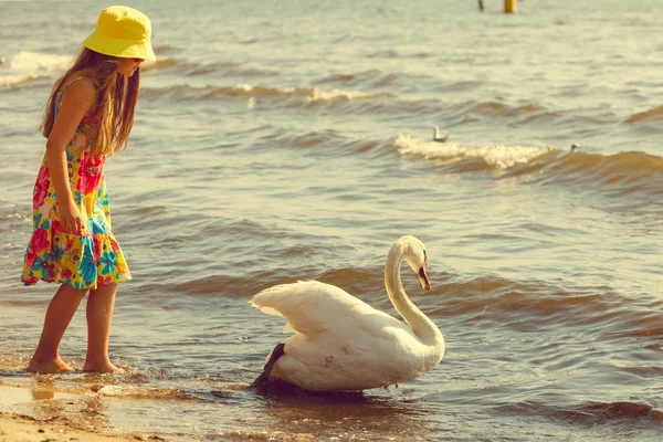 Dívka si hraje s dospělých labuť. — Stock fotografie