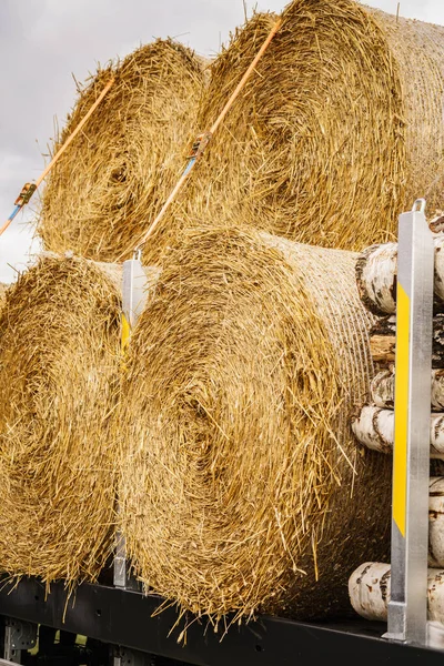 Landwirtschaft Und Ernte Großaufnahme Von Getreideballen Aus Heu Freien — Stockfoto