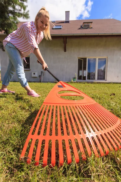 Ângulo Incomum Mulher Raking Folhas Usando Ancinho Pessoa Cuidando Jardim — Fotografia de Stock