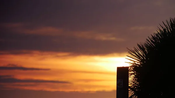 Planta Playa Entrada Playa Contra Fondo Del Cielo Del Amanecer — Foto de Stock