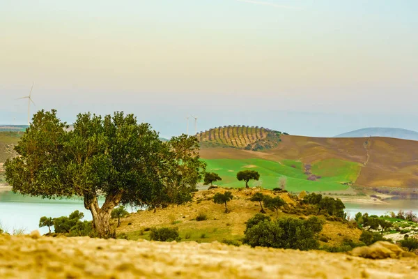 Paysage Naturel Espagnol Collines Campagne Autour Lac Embalse Del Guadalhorce — Photo