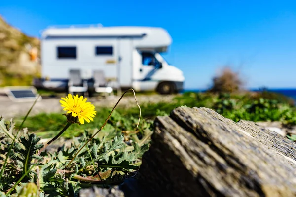 Gelbe Frühlingsblume Löwenzahn Und Wohnmobil Campen Ufer Des Meeres Der — Stockfoto