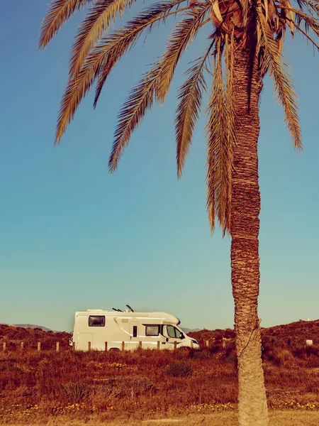 Camper Recreatief Voertuig Aan Middellandse Zee Kust Met Palmboom Spanje — Stockfoto