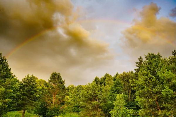 Arc Ciel Sur Forêt Verte Parc National Des Tuchola Pologne — Photo