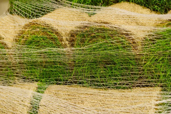 Stacks Sod Rolls New Lawn Natural Grass Turf Installing Making — Stock Photo, Image