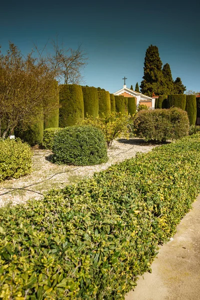 Green Plant Trees Chapel Mediterranean Nature Park — Stock Photo, Image
