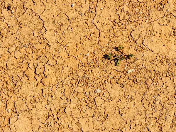 Dry Desert Cracked Barren Ground Soil Background Texture — Stock Photo, Image