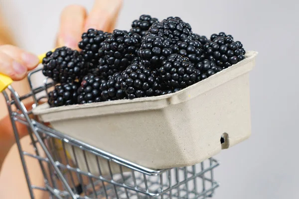 Manos Sosteniendo Caja Frutas Frescas Mora Carrito Compra Fruta Estacional — Foto de Stock