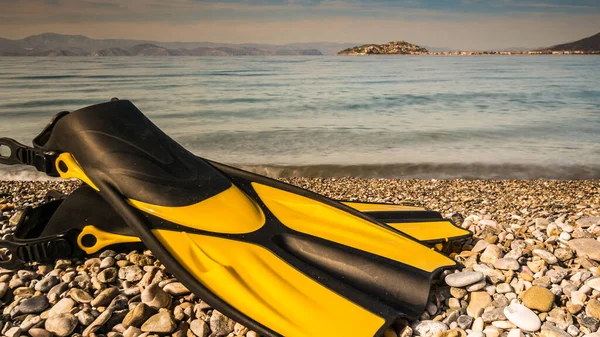 Equipamento Natação Nadadeiras Barbatanas Deitado Praia Pedra Costa Mar Verão — Fotografia de Stock