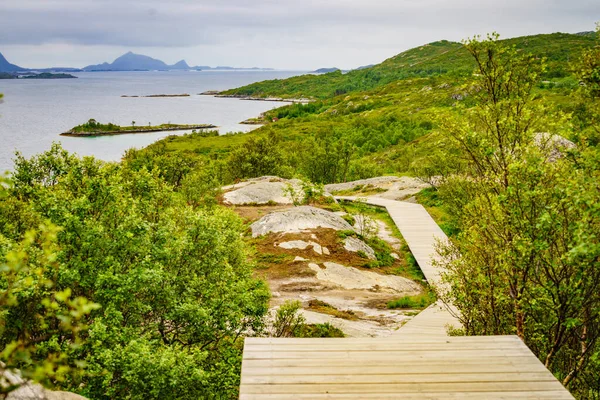 Fjordlandschaft Vom Rastplatz Austnesfjord Der Sildpollen Bucht Lofoten Norwegen Touristische — Stockfoto
