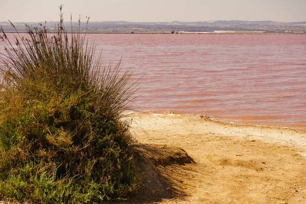 Pink Lake Torrevieja Spain Alicante Province Coastal Landscape Tourist Attraction — Stock Photo, Image