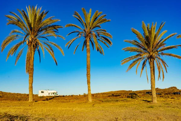 Camper Vehículo Recreativo Costa Mediterránea Con Palmeras España Camping Playa — Foto de Stock