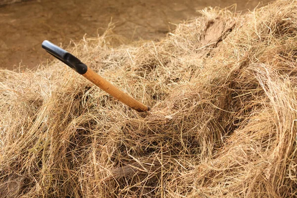 Hay Wheat Rye Pile Stack Shovel Rake Agricultural Rural Objects — Stock Photo, Image