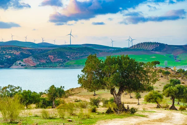 Andalusien Landskap Med Vindkraftverk Kullar Embalse Del Guadalhorce Ardales Reservoir — Stockfoto