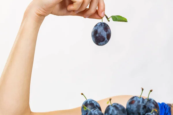 Meisje Met Blauwe Pruimenvruchten Papieren Doos Gezond Seizoensfruit Biologische Voeding — Stockfoto