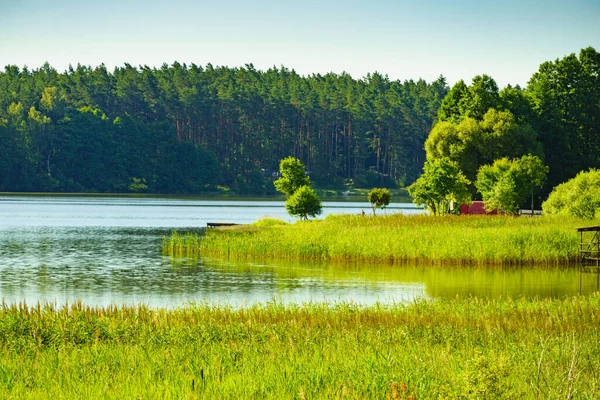 Lago Masuria Polonia Orilla Agua Cubierta Juncos Verdes Paisaje Verano —  Fotos de Stock