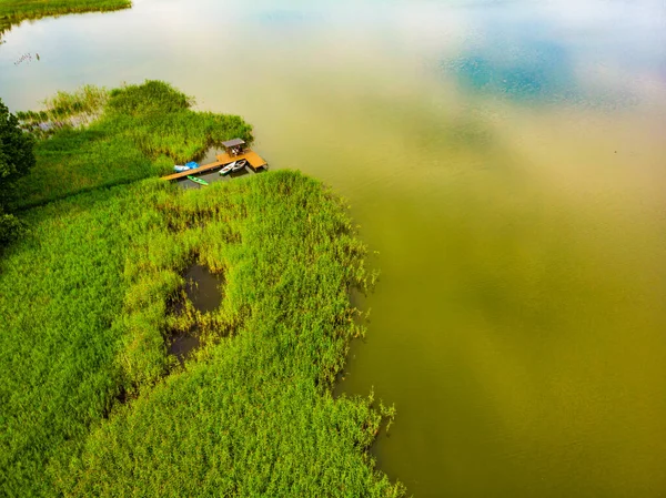 Green Summer Landscape Europe Wooden Jetty Shore Lake Kierwik Masuria — Stock Photo, Image