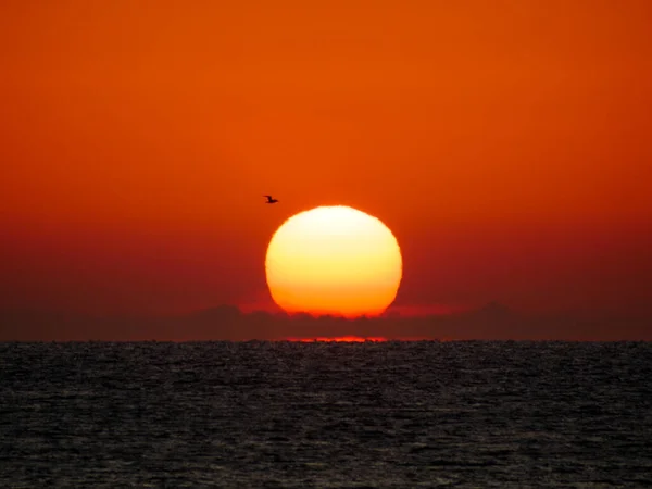 Nascer Sol Sobre Mar Sol Nascendo Acima Horizonte — Fotografia de Stock