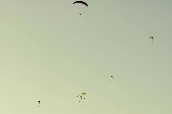 Αλεξίπτωτο Ακραίο Άθλημα Πολλοί Paragliders Σιλουέτα Που Φέρουν Στον Ουρανό — Φωτογραφία Αρχείου