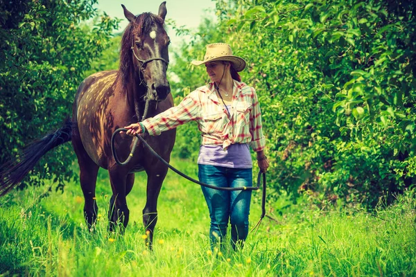 动物和人类的爱 马的概念 西方女性骑着马在绿地或森林中行走 — 图库照片