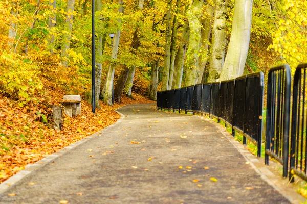 秋の天候の間 公園の橋からの眺め 黄金の葉 太陽の光でオレンジ色の木 散歩に最適な場所 — ストック写真