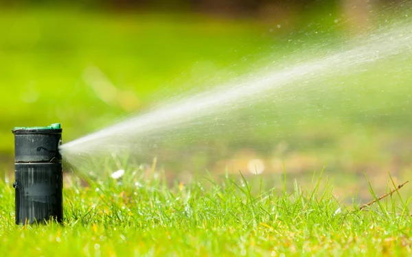 Jardinería. Aspersor de césped rociando agua sobre hierba. — Foto de Stock